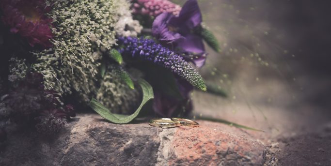 Bunte Blumen und grünes Laub auf einem steinigen Untergrund.